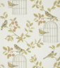 iLiv songbird_wallpaper_terracotta.jpg